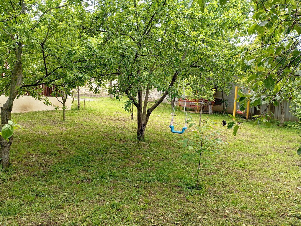 Bağ evi kirayə verilir, Quba r — Ev, villa, Quba (7)