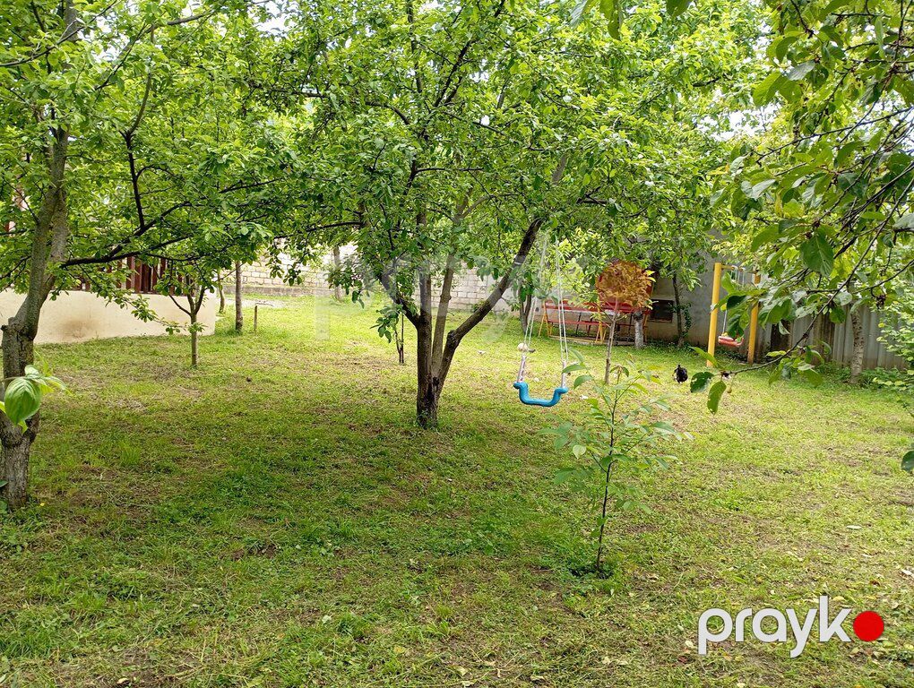 Bağ evi kirayə verilir, Quba r — Ev, villa, Quba (7)