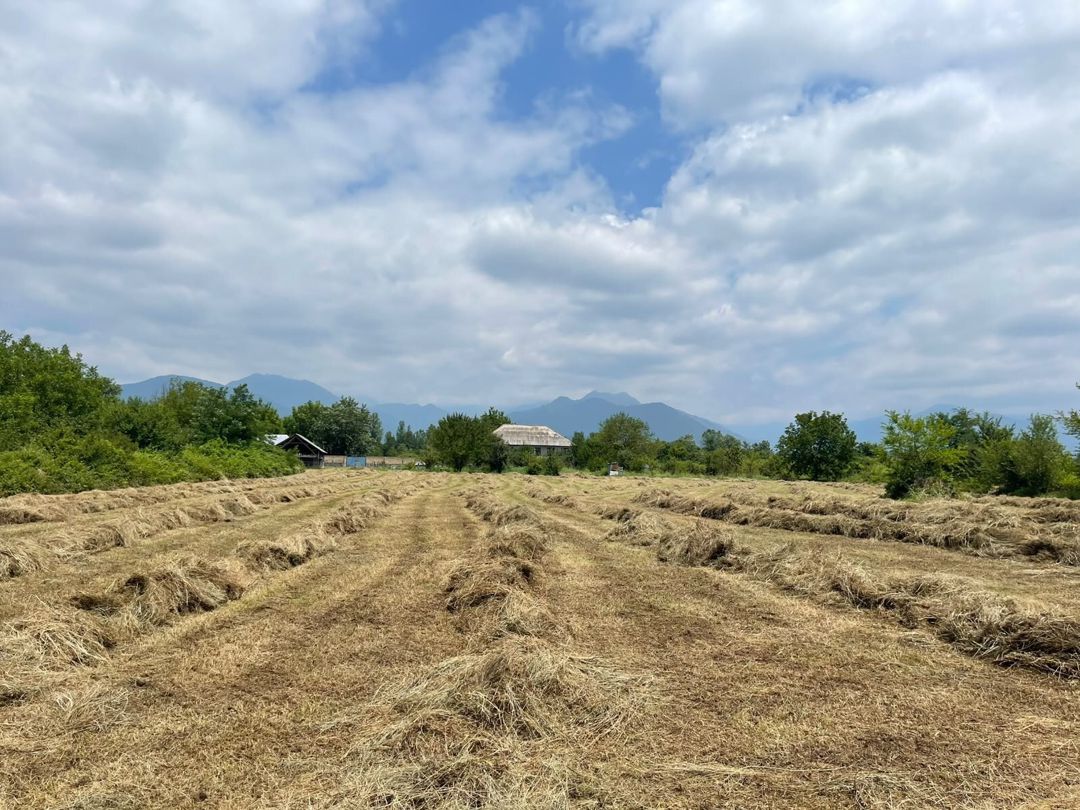 30 sot torpaq sahəsi, Qəbələ r — Torpaq, Qəbələ (3)