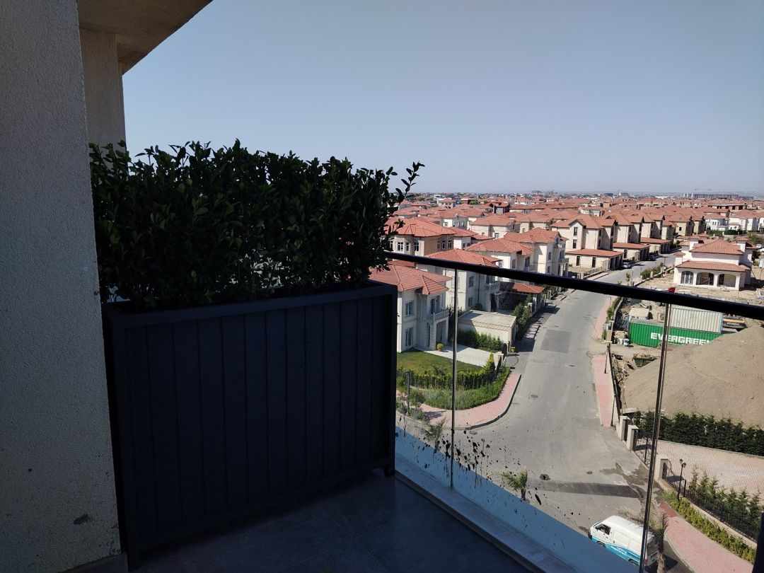 Dibçəklər — Bitkilər, Bakı (3)