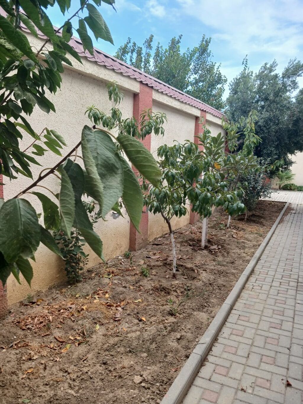 Qala qəs. 4 otaqlı, 200 kv. m — Daşınmaz əmlak, Bakı (6)
