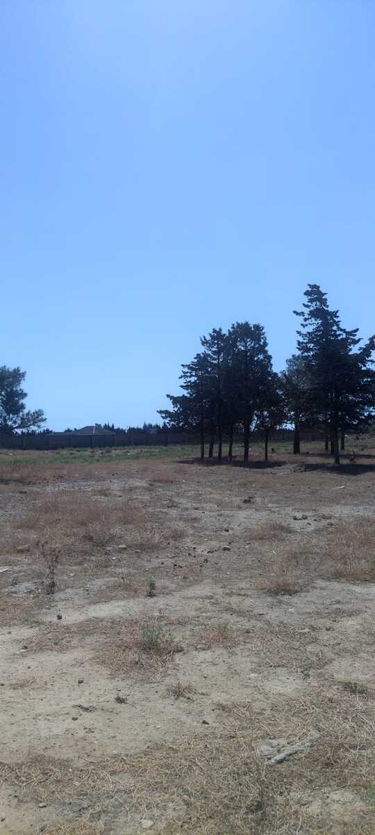 Satılır torpaq 100 sot — Torpaq, Bakı (2)