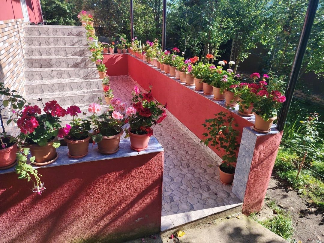 Bağ evi kirayə verilir, Qəbələ r — Ev, villa, Qəbələ (9)