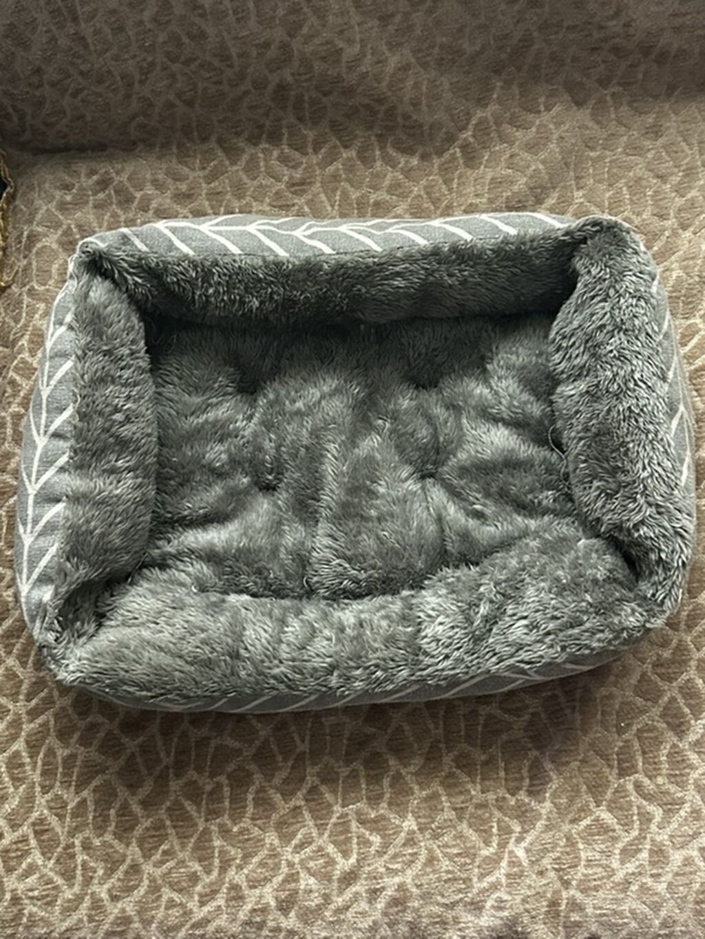 Sfinks, Ünvandan götürmə, Pulsuz çatdırılma — Pişiklər, Bakı (8)