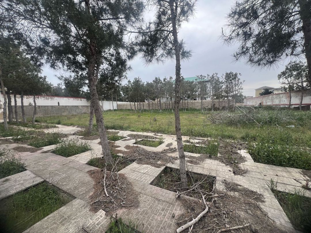 Satılır torpaq 20 sot — Torpaq, Bakı (8)
