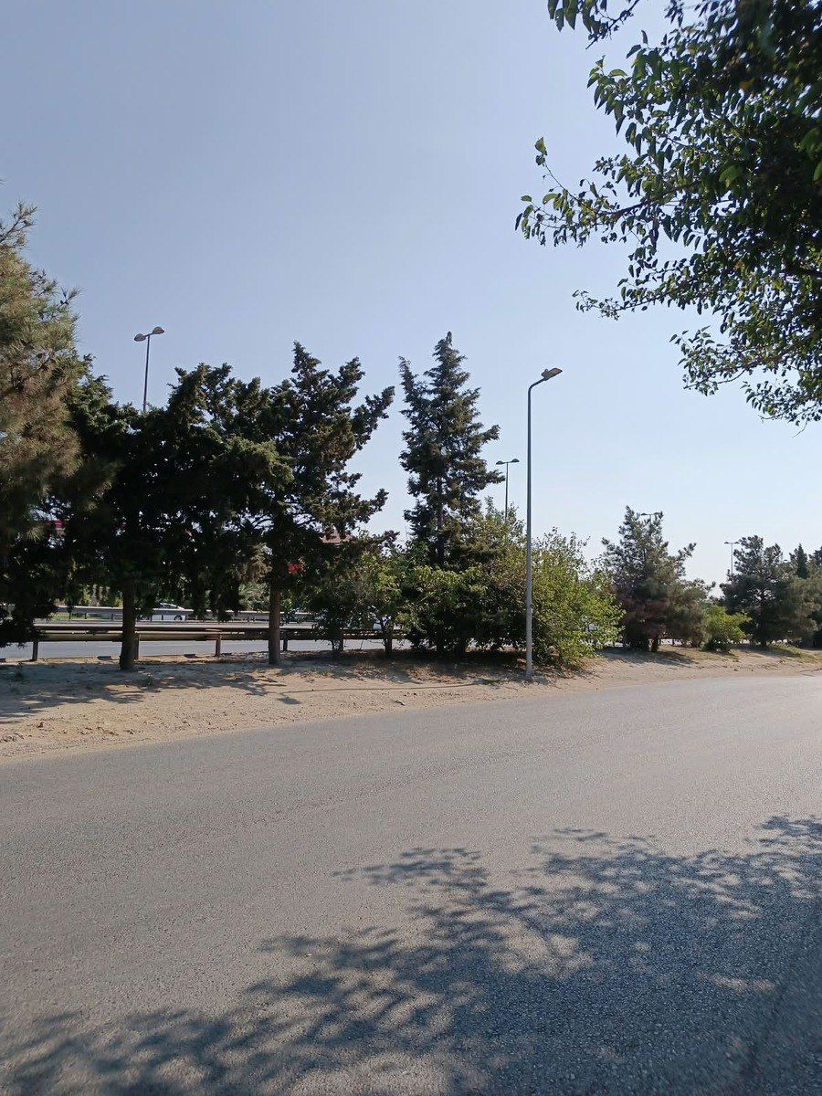 Satılır torpaq 5 sot — Torpaq, Bakı (3)