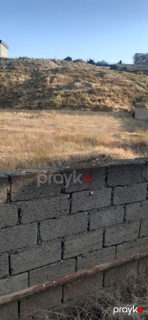 Tikinti