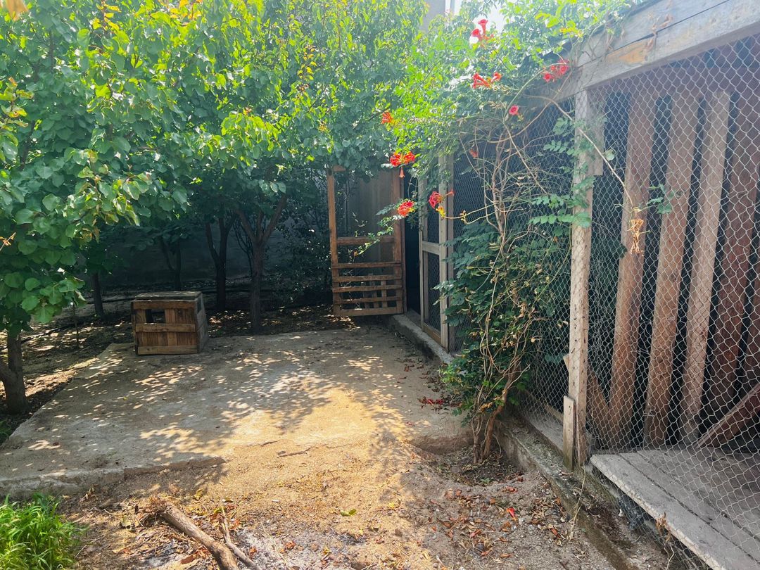 Satılır 8 otaqlı həyət evi/bağ evi 200 m² — Ev, villa, Bakı (3)