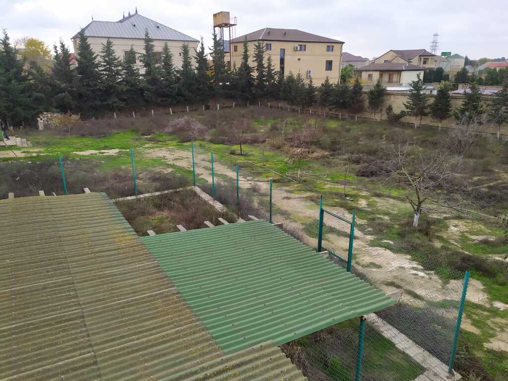 Satılır torpaq 20 sot — Torpaq, Bakı (4)