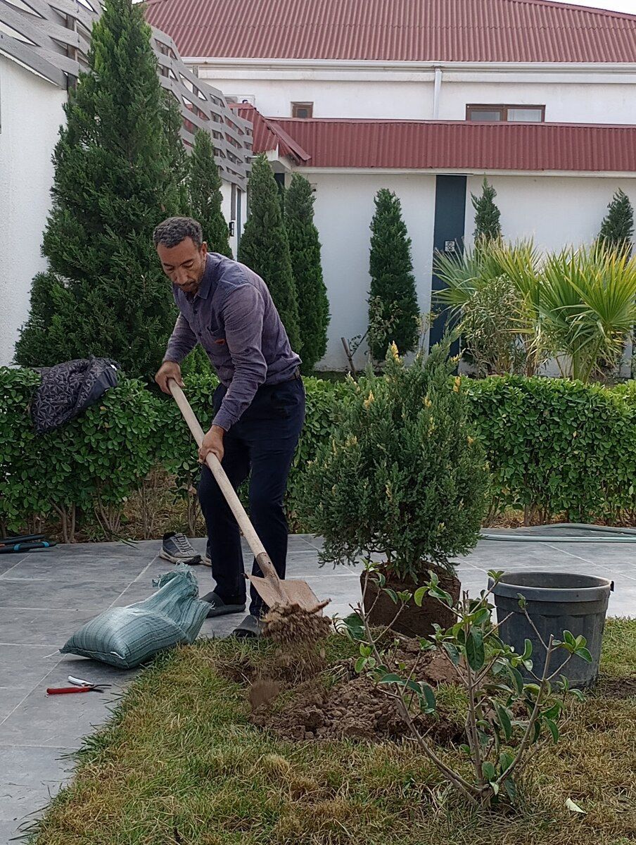 Bağban işi axtarıram — İş axtarıram, Bakı (5)