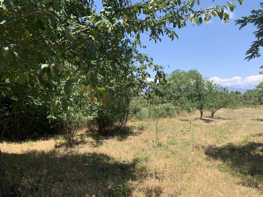 Satılır 4 otaqlı həyət evi/bağ evi 100 m² — Ev, villa, İsmayıllı (3)