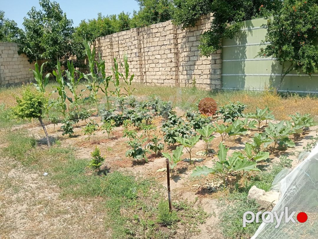 5.5 sot torpaq sahəsi, Novxanı qəs — Torpaq, Bakı (5)
