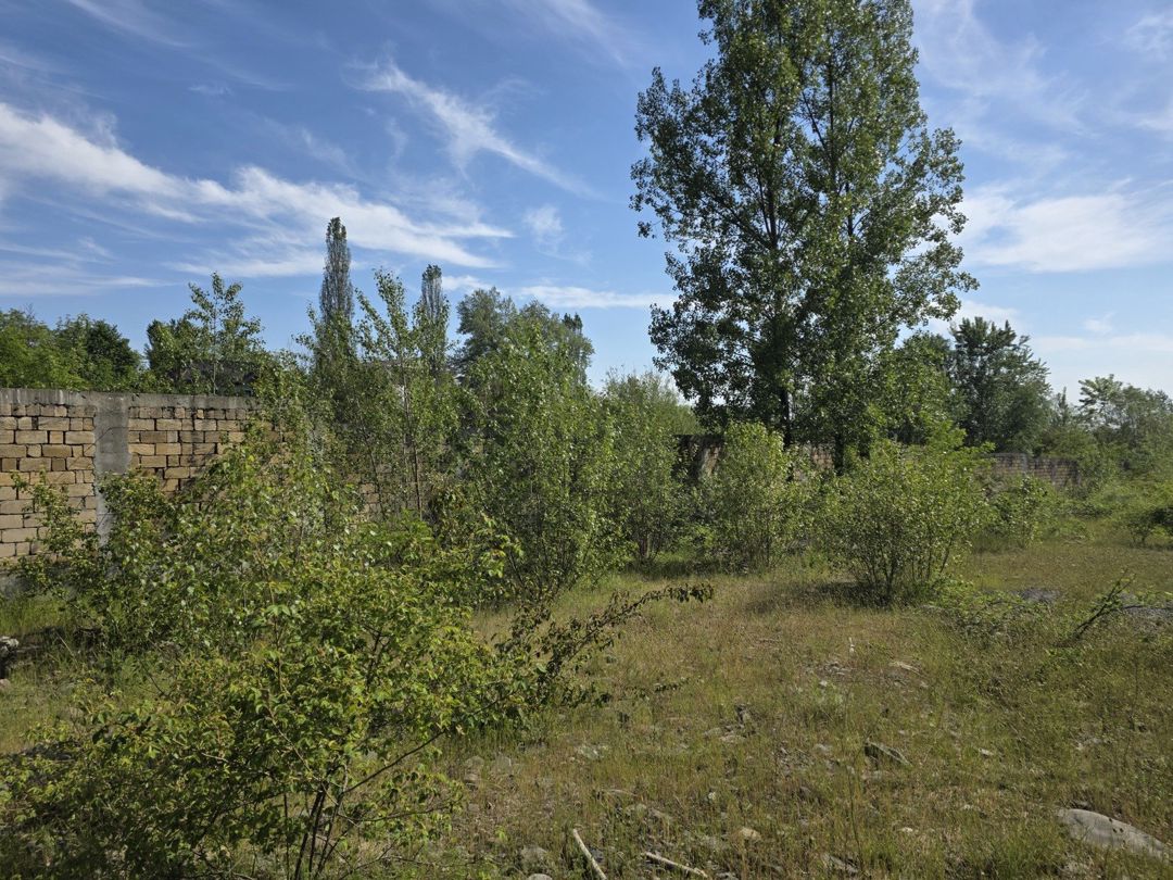 Satılır torpaq 200 sot — Torpaq, Qəbələ (8)