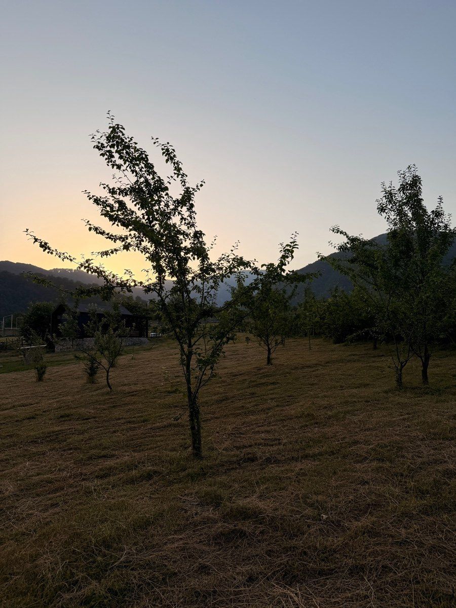 24 sot torpaq sahəsi, İsmayıllı r — Torpaq, İsmayıllı (4)