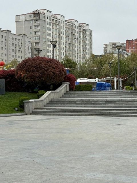 İcarəyə verilir 7 otaqlı ofis 240 m² — Bakı