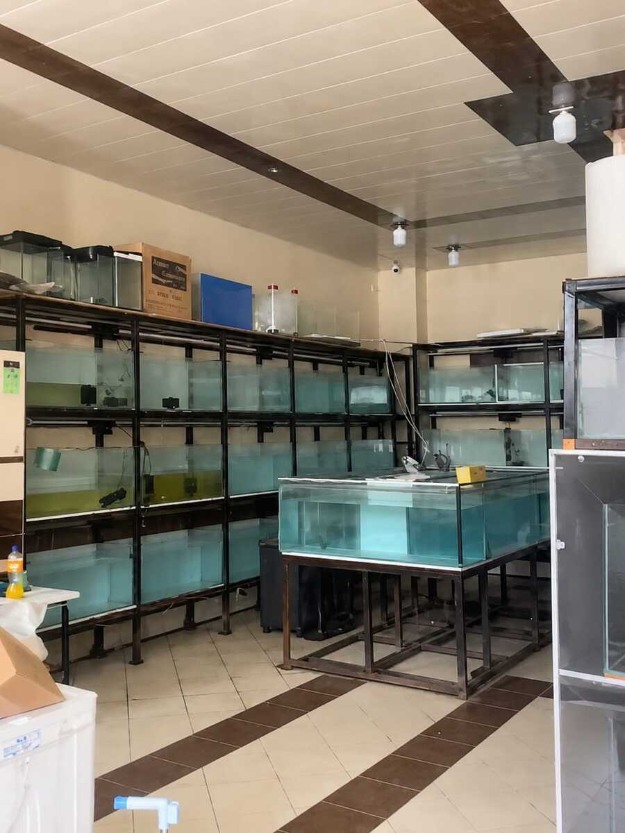 Satılır obyekt 70 m² — Əmlak, Bakı (2)