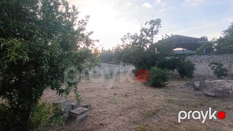 Satılır torpaq 4 sot