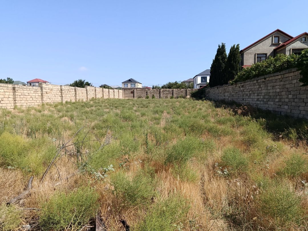 11 sot torpaq sahəsi, Saray qəs — Torpaq, Bakı (2)