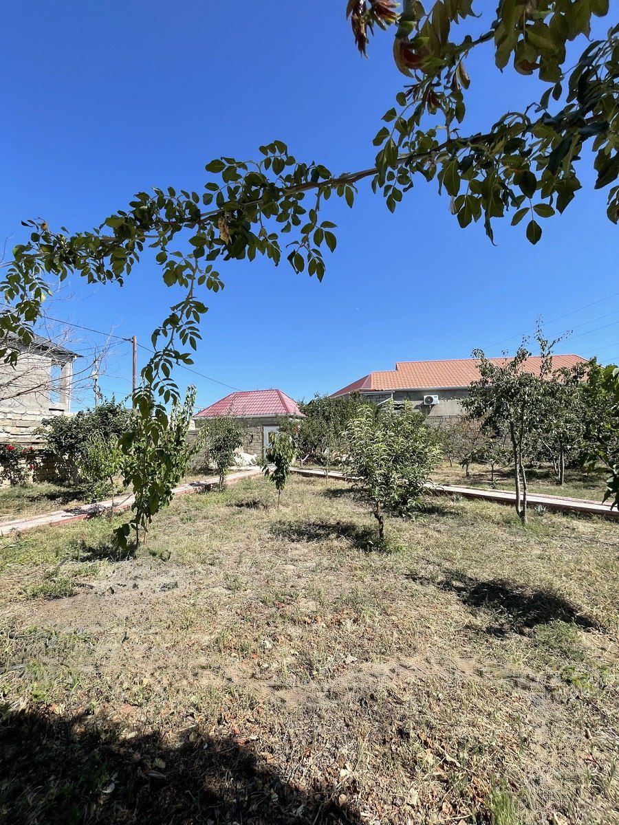 Satılır torpaq 12 sot — Torpaq, Bakı (9)