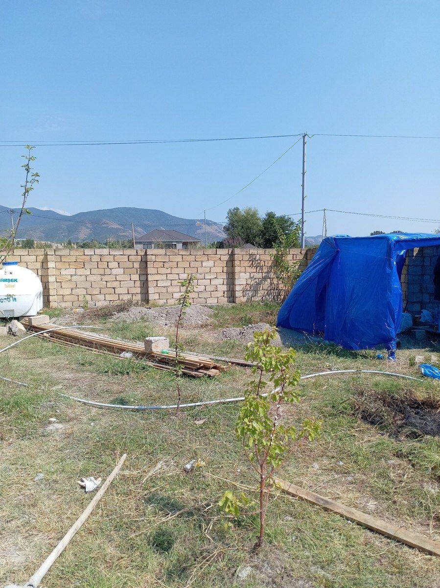 3 sot torpaq sahəsi, Şəki ş — Torpaq, Şəki (6)