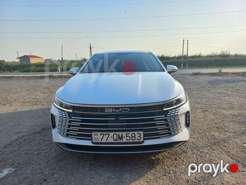 BYD Destroyer 05, 1.5 L, 18.3 kWh, 2024 il, 71 000 km