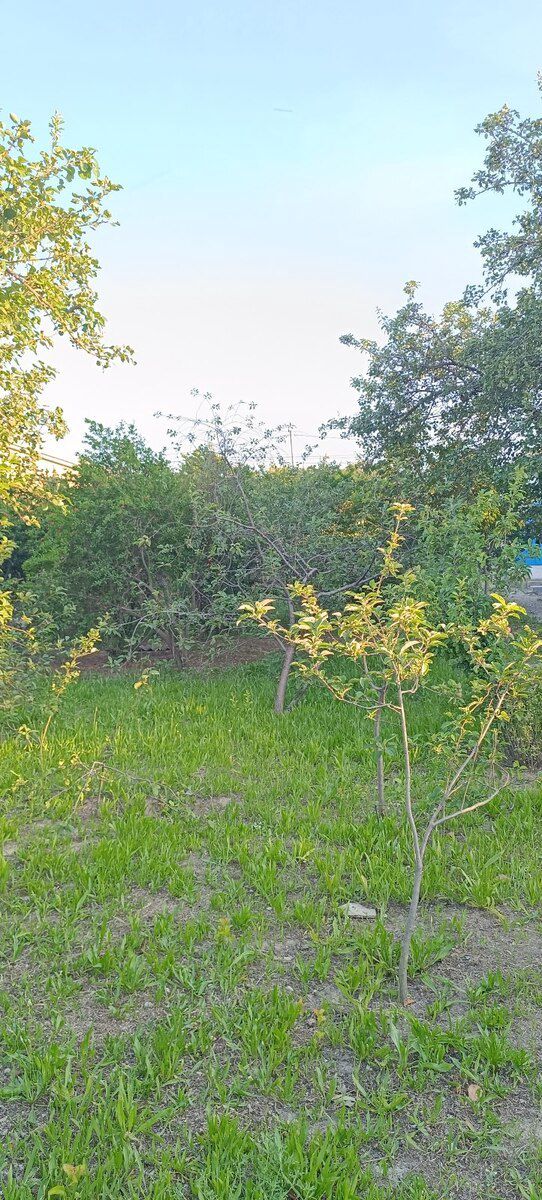 5 sot torpaq sahəsi, Saray qəs — Torpaq, Bakı (9)