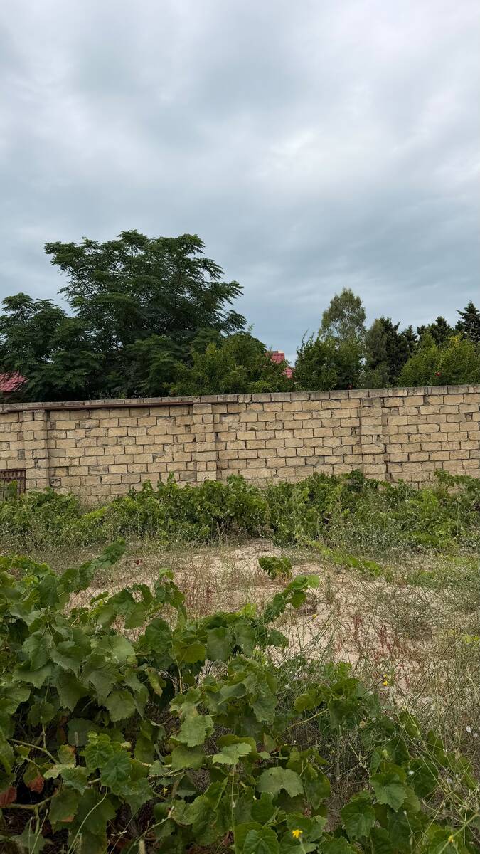Satılır torpaq 13 sot — Torpaq, Bakı (7)