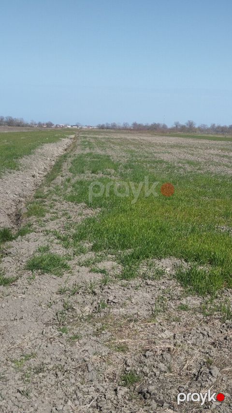 1.8 sot torpaq sahəsi, Xaçmaz r