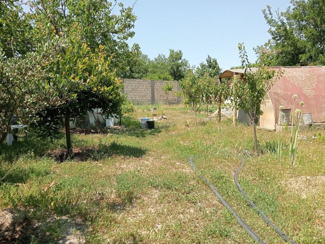 5.5 sot torpaq sahəsi, Novxanı qəs — Torpaq, Bakı (10)