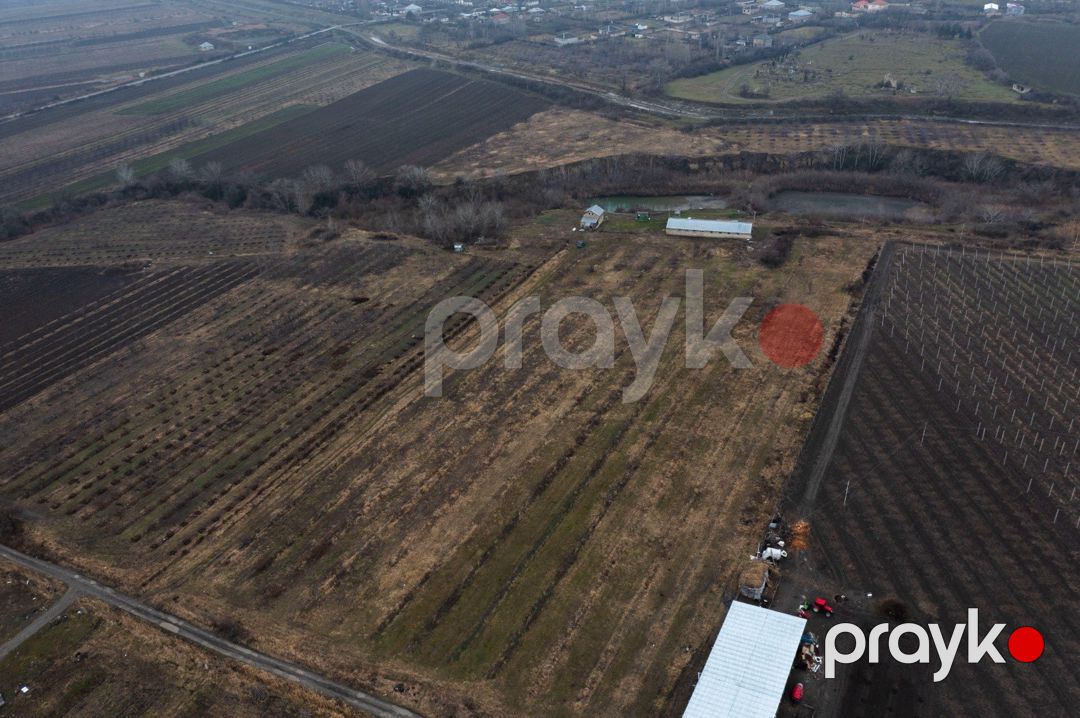 Satılır obyekt 20000 m² — Əmlak, Quba (3)