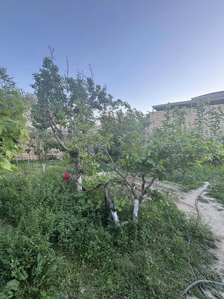 Satılır torpaq 3 sot — Torpaq, Bakı (5)