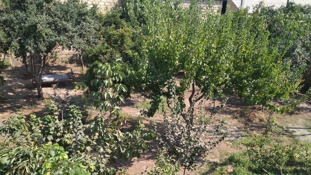 3 sot torpaq sahəsi, Xırdalan ş — Torpaq, Xırdalan (4)