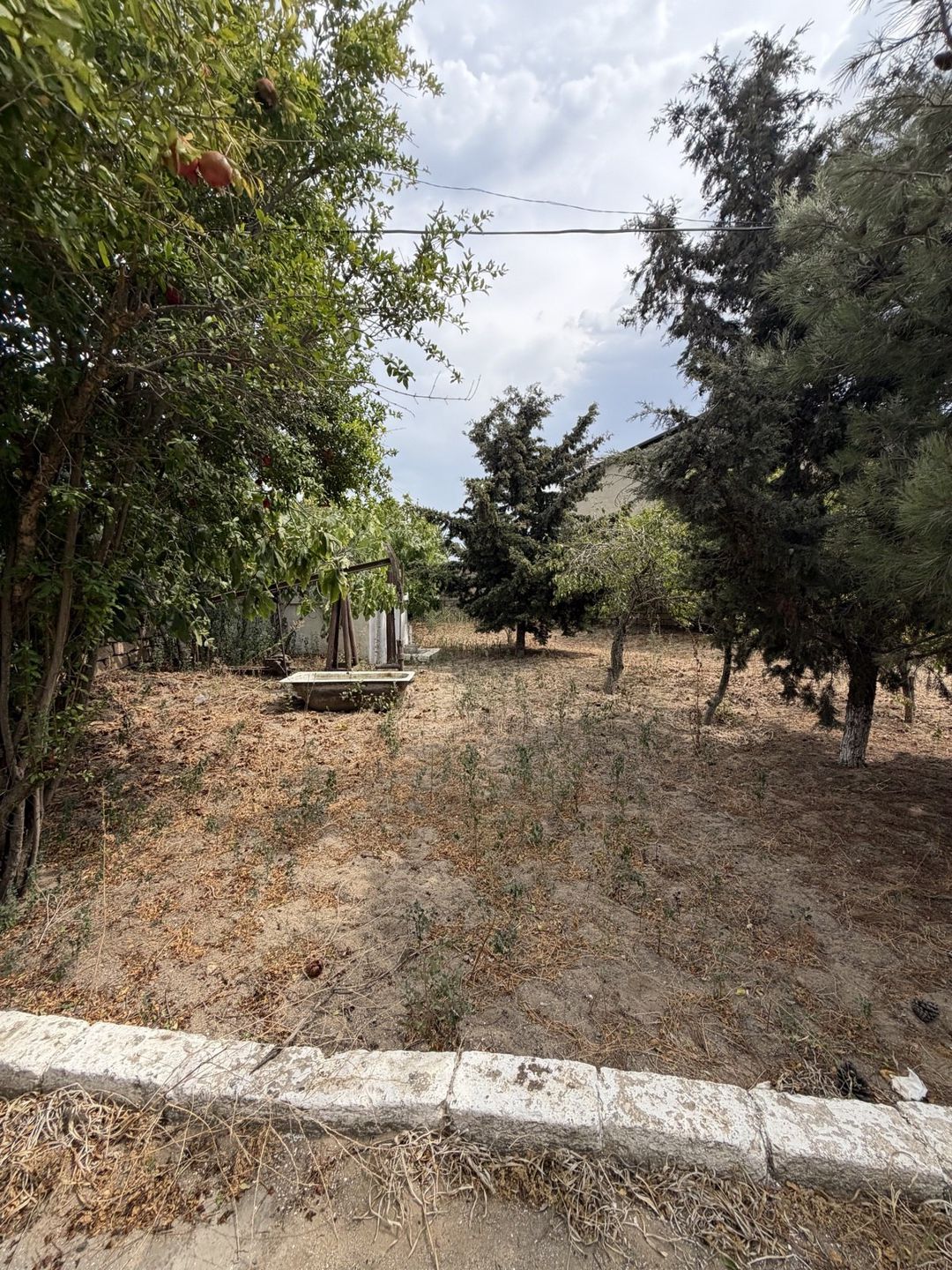 Satılır torpaq 10 sot — Torpaq, Bakı (2)