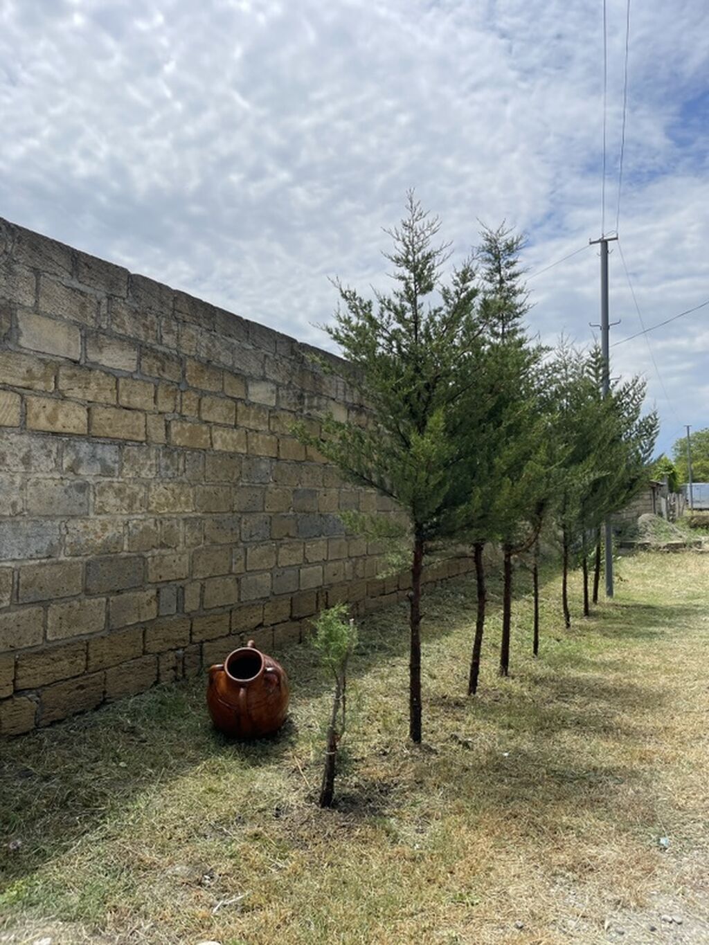 Kənd təsərrüfatı, Makler, Kupça (Çıxarış) — Torpaq, Quba (7)