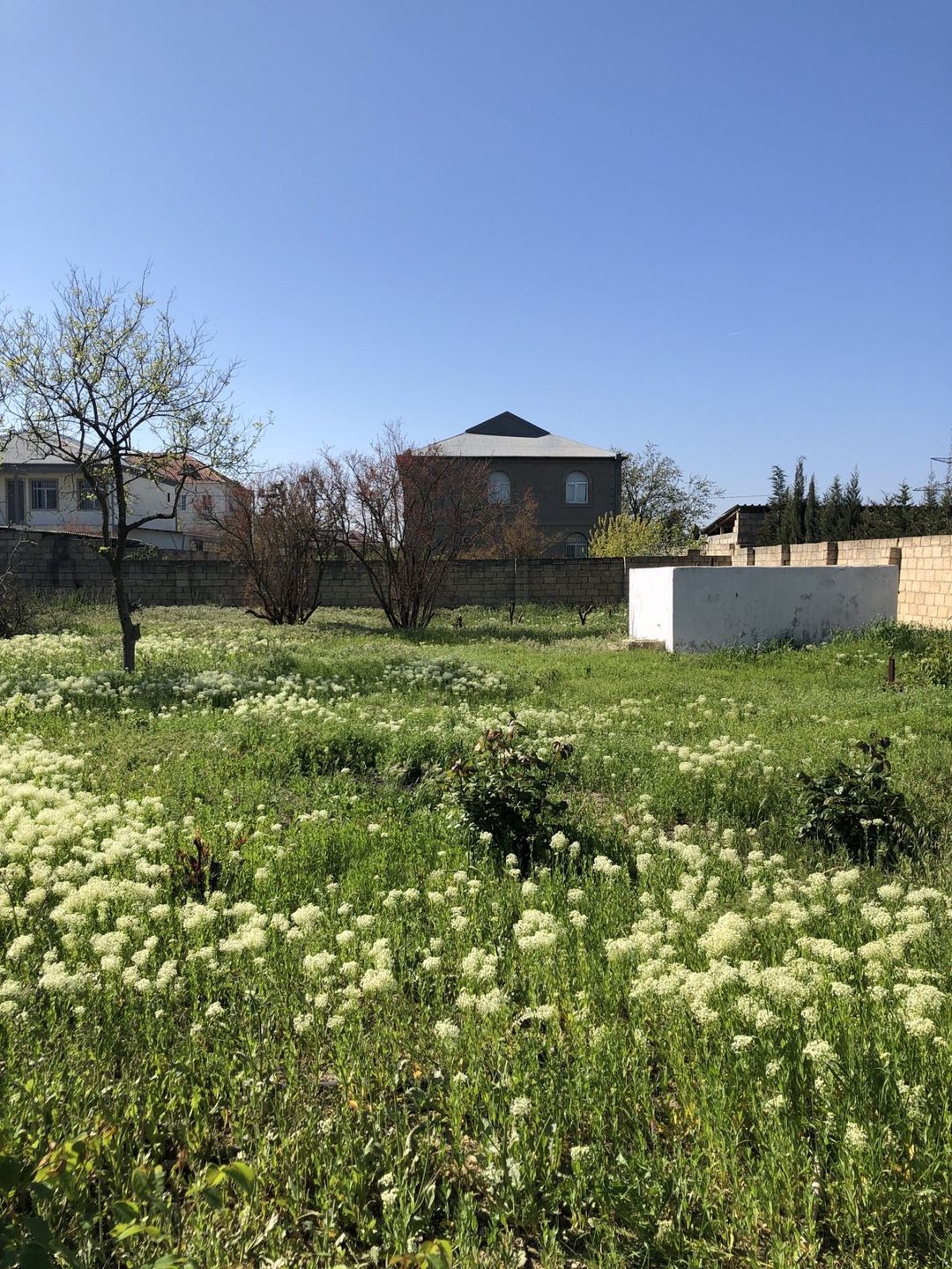 Satılır torpaq 5 sot — Torpaq, Bakı (7)