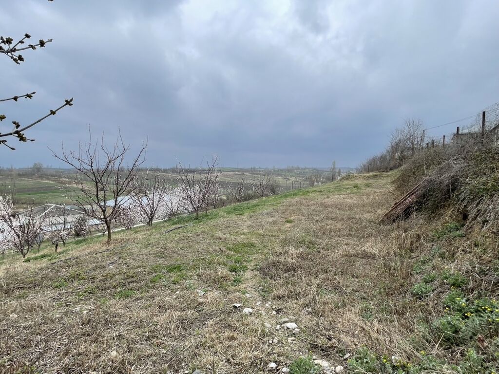 Kənd təsərrüfatı, Makler, Kupça (Çıxarış) — Torpaq, Quba (5)