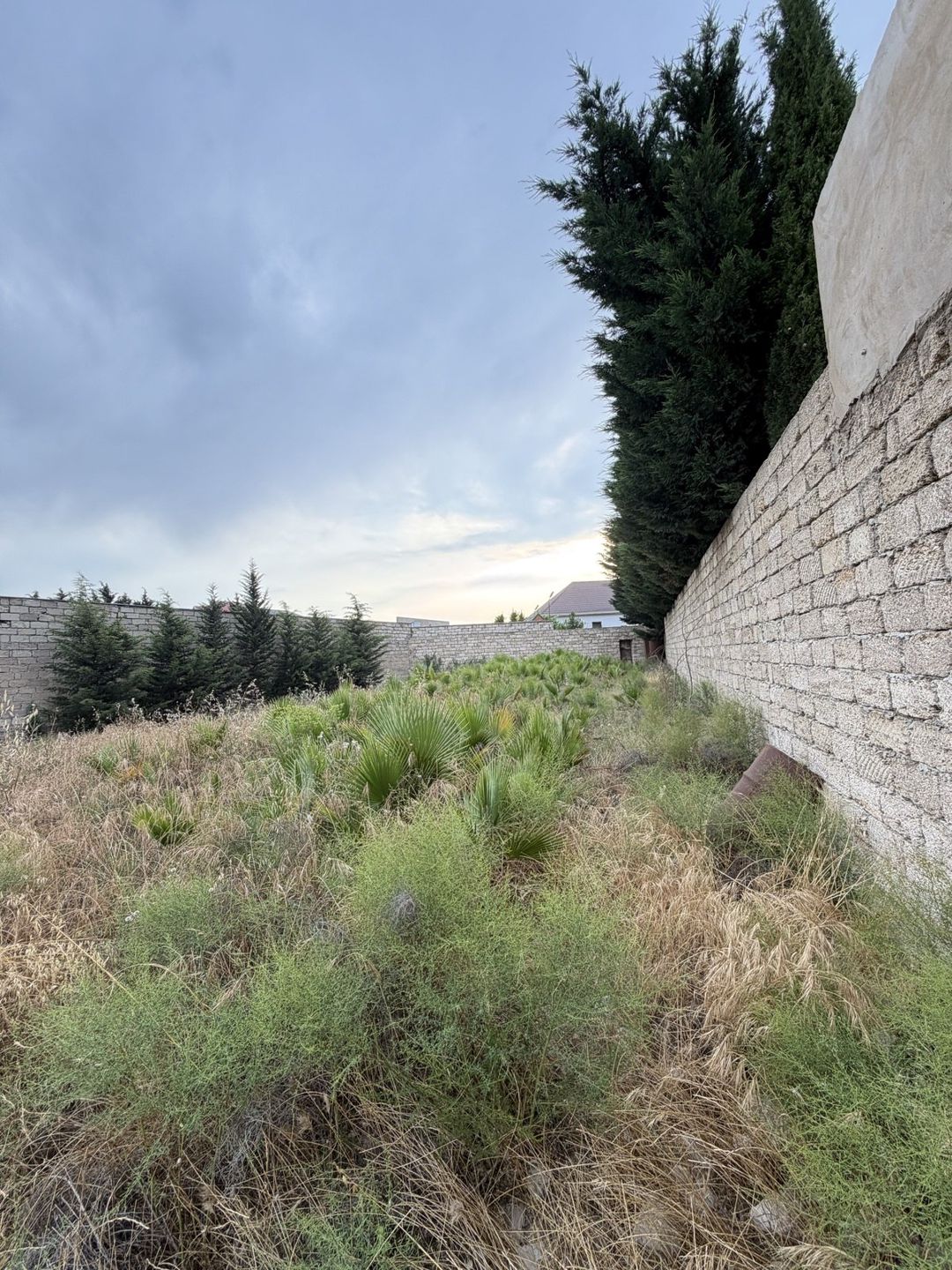 Satılır torpaq 7 sot — Torpaq, Bakı (4)