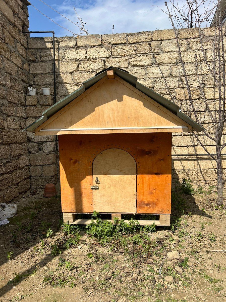 İt yuvası — Heyvan malları, Bakı (5)