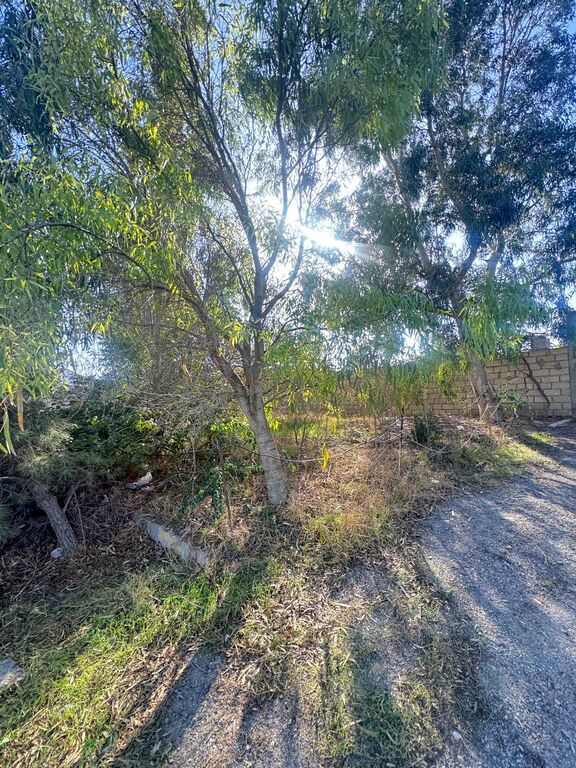 Satılır torpaq 5 sot — Torpaq, Bakı (10)