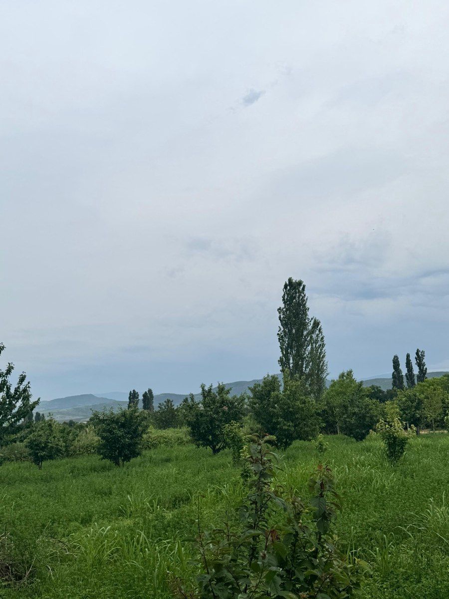 12 sot torpaq sahəsi, Günəşli kəndi — Torpaq, Şabran (7)
