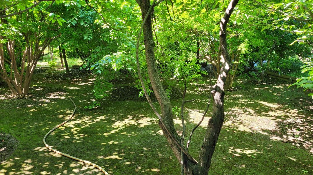 Həyət evi, Xaçmaz ş — Ev, villa, Xaçmaz (3)
