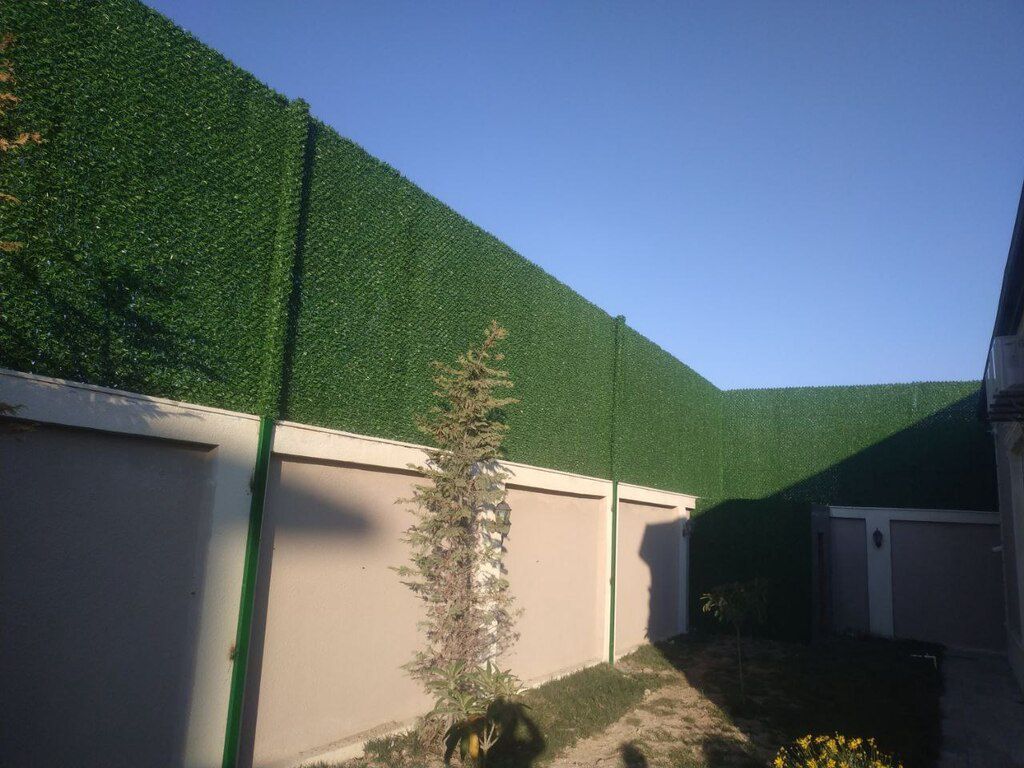 Süni dekorativ yaşıl hasar — Dacha və bağ, Bakı (2)