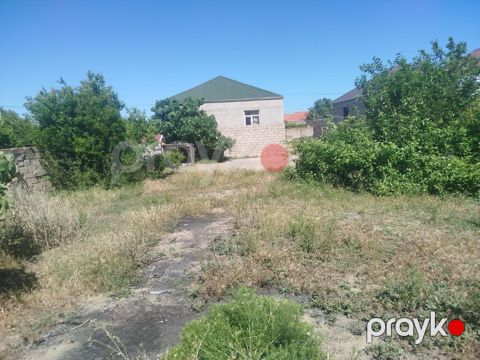 5 sot, Tikinti, Kupça (Çıxarış)