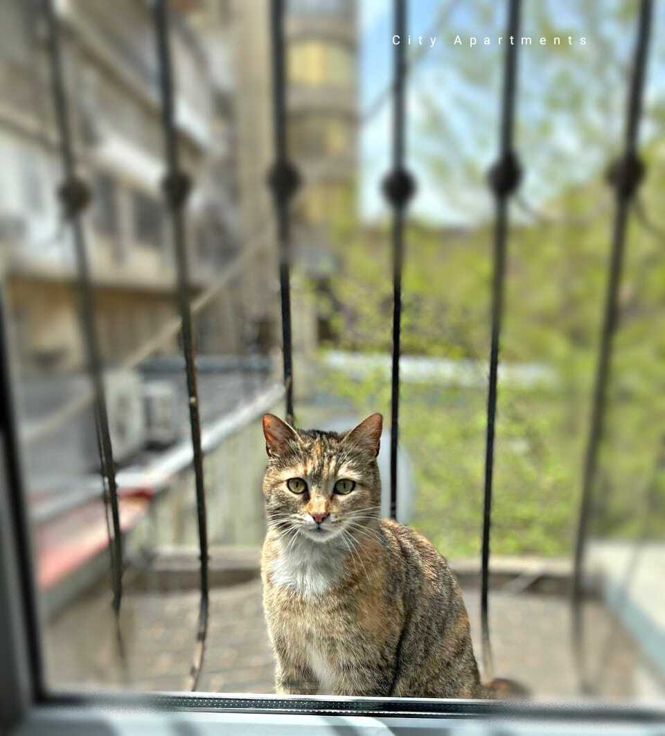 2-otaqlı mənzil kirayə verilir, Sahil m., 60 m² — Mənzil, Bakı (11)