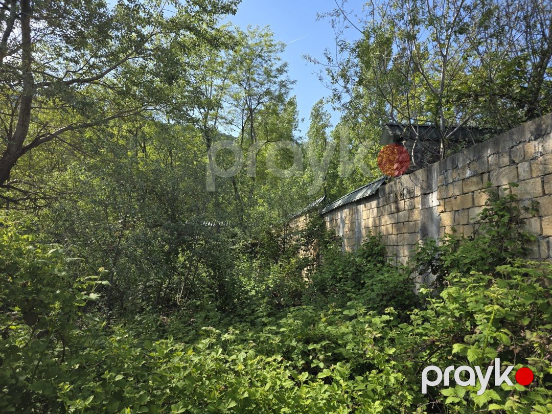 Satılır torpaq 200 sot — Torpaq, Qəbələ (9)