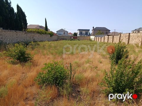 11 sot torpaq sahəsi, Saray qəs
