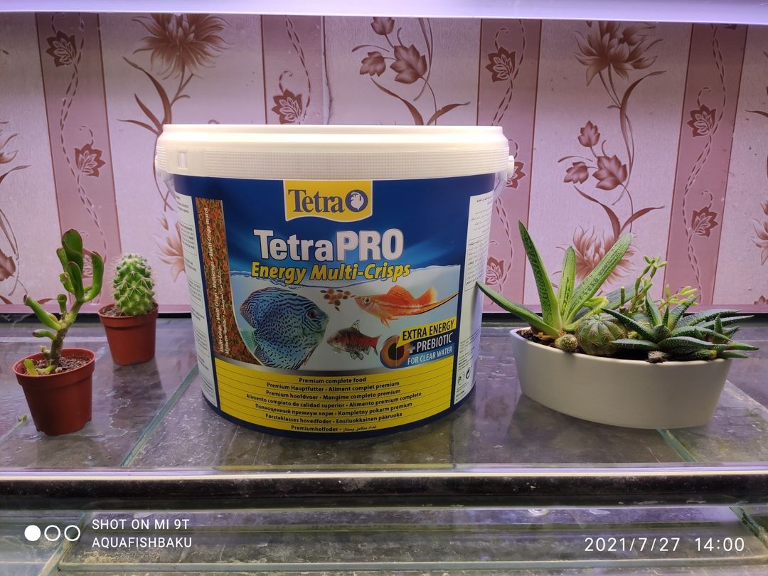 Balıq yemi "Tetra pro energy" — Akvariumlar və balıqlar, Bakı (2)