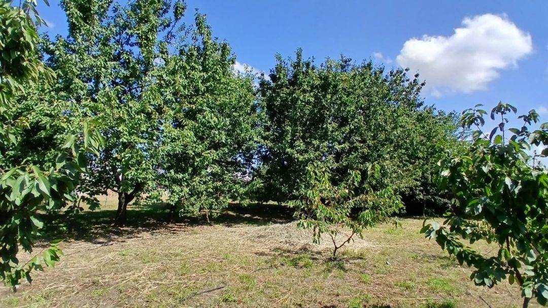 10 sot torpaq sahəsi, Quba r — Torpaq, Quba
