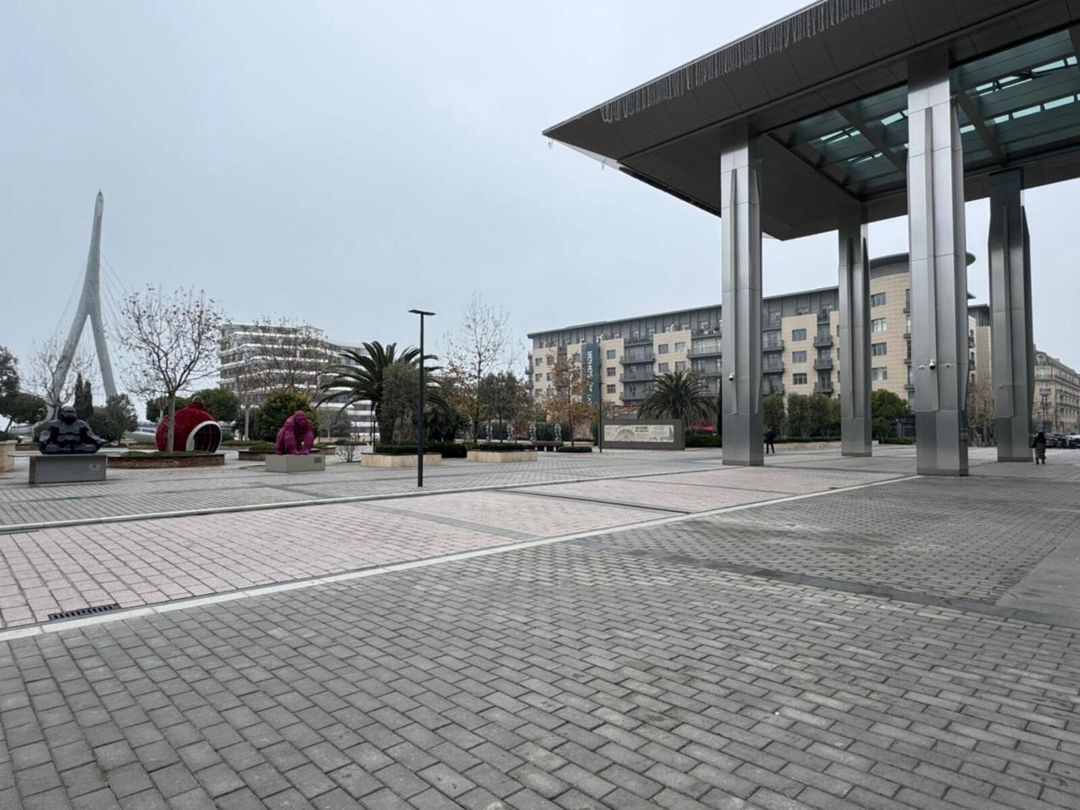 Satılır 4 otaqlı yeni tikili 225 m² — Mənzil, Bakı (3)