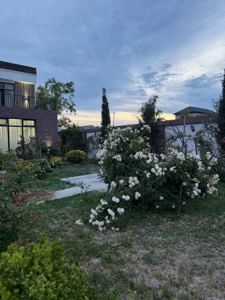Bağ evi kirayə verilir, Mərdəkan qəs — Ev, villa, Bakı (9)